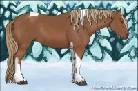 Horse Color:Chestnut Tobiano Rabicano 