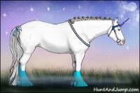 Horse Color:Brown Chinchilla Sabino Appaloosa Brindle