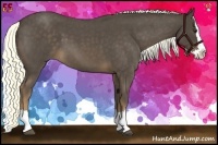 Horse Color:Liver Red Roan Splash 