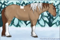 Horse Color:Red Dun Tobiano 