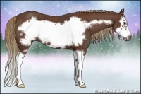 Horse Color:Liver Chestnut Splash Frame  Brindle