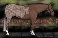 Horse Color:Bay Ice 