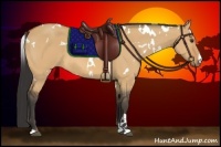 Horse Color:White Spotted Bay Dun 