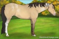 Horse Color:White Spotted Amber Champagne Dun Rabicano 