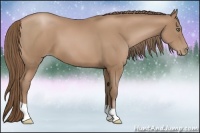 Horse Color:Black Pearl