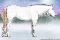 Horse Color:Buckskin Dun Blanket 