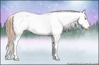 Horse Color:Smoky Grullo Pearl Appaloosa