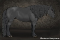 Horse Color:Black Sabino Rabicano