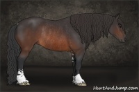 Horse Color:Brown Sabino Rabicano 