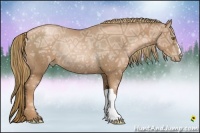 Horse Color:Liver Chestnut Ice Pearl Rabicano 