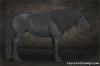 Horse Color:Black Sabino Rabicano 