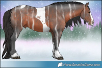 Horse Color:Brown Ice Splash Tobiano 