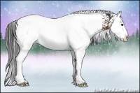 Horse Color:White Spotted Brown Splash Rabicano