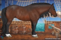 Horse Color:Bay Rabicano 