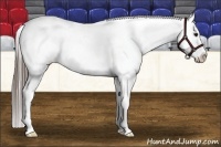 Horse Color:Blue Roan Varnish 