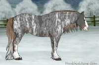 Horse Color:Liver Chestnut Ice Sabino Splash