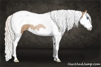Horse Color:Silver Black Pearl Splash Tobiano Rabicano