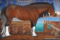 Horse Color:Brown Rabicano 