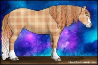 Horse Color:Plaid Gold Champagne Splash