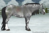 Horse Color:Black Ice Rabicano 