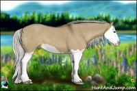 Horse Color:Liver Red Dun Splash