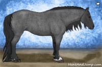 Horse Color:Blue Roan Sabino 