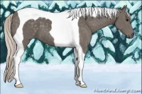 Horse Color:Silver Black Tobiano