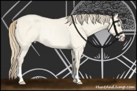 Horse Color:Perlino Roan Dun Rabicano