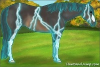 Horse Color:Thunderstruck Buckskin 