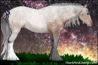 Horse Color:Brown Ice Appaloosa 