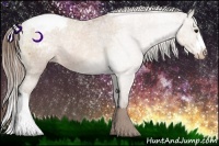 Horse Color:Brown Ice Pearl Appaloosa 