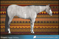 Horse Color:White Spotted Smoky Grullo Roan 