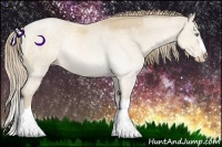 Horse Color:Perlino Rabicano