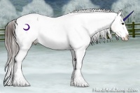 Horse Color:Buckskin Ice Appaloosa Rabicano
