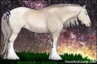 Horse Color:Chocolate Palomino Pearl Rabicano 