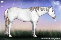 Horse Color:Chestnut Sabino Splash 