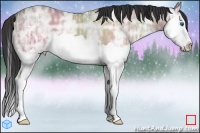Horse Color:Bay Ice Dun Splash 