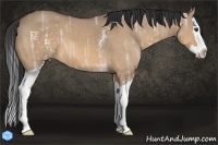 Horse Color:White Spotted Bay Ice Dun Splash 