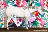 Horse Color:Buckskin Pearl Appaloosa