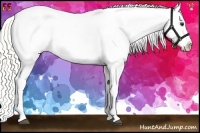 Horse Color:Liver Red Roan Mushroom Sabino Blanket
