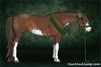 Horse Color:Liver Chestnut Sabino 