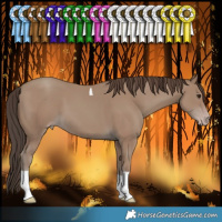 Horse Color:Classic Champagne Tobiano