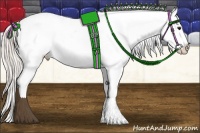 Horse Color:Silver Brown Appaloosa