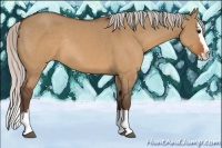 Horse Color:Silver Brown Dun Sabino Splash Rabicano