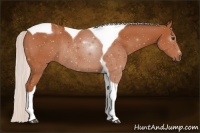 Horse Color:Silver Bay Tobiano Rabicano