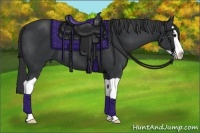Horse Color:Black Splash