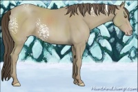 Horse Color:White Spotted Classic Cream Champagne 