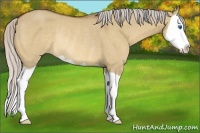 Horse Color:Silver Bay Dun Splash Rabicano 