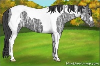 Horse Color:Smoky Black Ice Tobiano