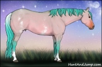 Horse Color:Watercolor White Spotted Bay Dun Rabicano 